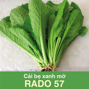 Hạt giống cải bẹ xanh mỡ Rado 57 (20g)